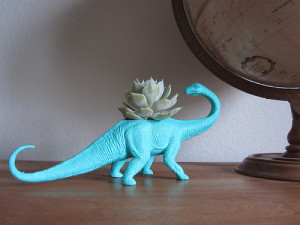 Dinosucculent