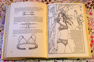 The Undies Book by Nanette Rothacker